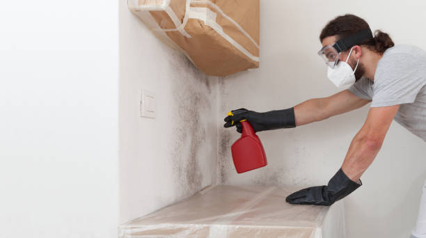 Professional Mold Testing technician working in Waverly, IL