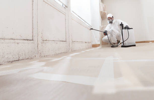 24/7 Emergency Mold Testing experts in Waverly, IL